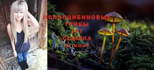 кристаллы Дмитров