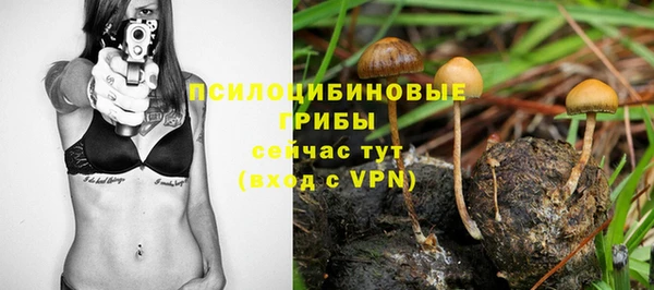 прущая мука Дмитровск