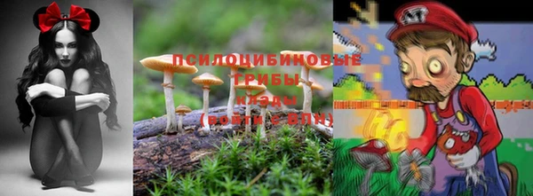 прущая мука Дмитровск