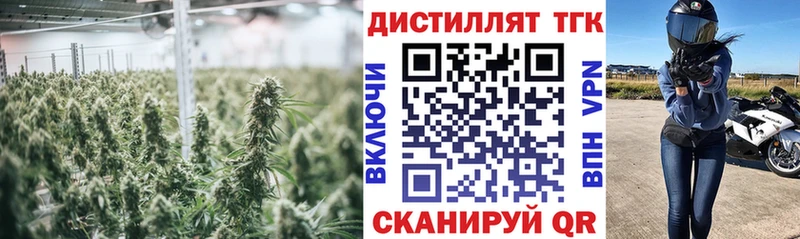 Купить  Минусинск  ТГК гашишное масло 